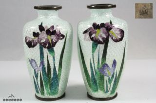 Ota Toshiro Pair Japanese Ginbari Cloisonne Iris Vases C.  1900