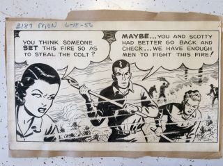 Mark Trail Daily Comic Strip signed by Ed Dodd 1956 2 comics w/ letter 4