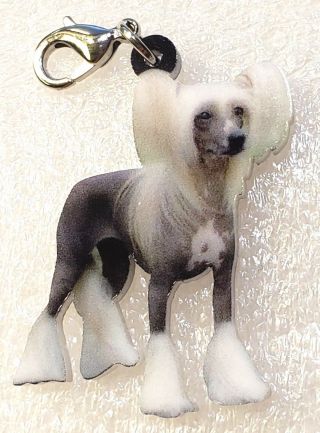 Chinese Crested Dog Realistic Acrylic Purse Charm Dangle Zipper Pull Jewelry