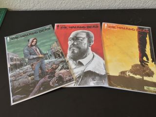 The Walking Dead 192 1st Print W/variant & 193 Image Comics