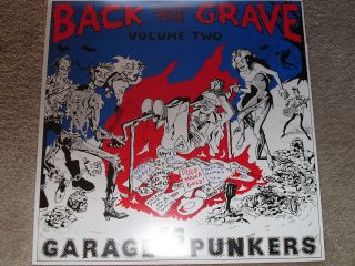 Back From The Grave Vol 2 - 16 Garage Punkers