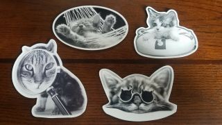 Set Of 4 Black & White Large Cat Kitten Fridge Magnets