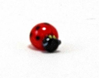 Ganz Miniature Glass Animals Figurine - Glass Ladybug