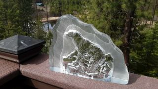 Polar Bear And Cub - Etched In Heavy Glass