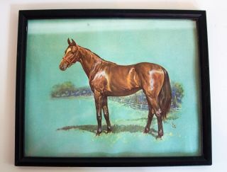 Vintage Signed Print Bay White Star Horse In Frame Under Glass Thoroughbred?