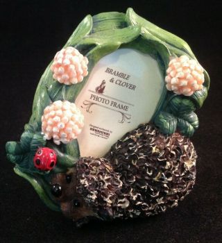 Bramble And Clover Hedgehogs Photo Frame 3 - 1/2 " X 3 ",  Innovation,  Lopsided,  Read