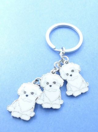 Bichon Frise Dog Breed Key Chain Or Purse Charm 3 Dogs Attached