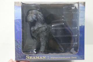 Seaman Newfoundland Dog 1:6 Scale Corps Of Discovery Box Manitou Trade