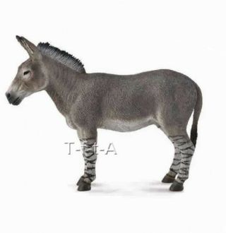 | Collecta 88664 African Wild Ass Donkey 2014 Toy - In Package