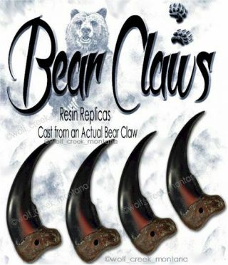 2 Lrg 3¼ " Rugged Grizzly Bear Claws Wild Animal Bears Resin Replicas Diy Crafts 