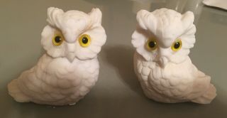Set Of 2 Vintage 3.  5 " White Carved Salt Stone Owl Yellow Eyes Figurines