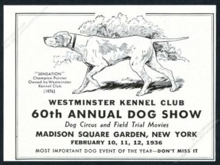 1936 Westminster Kennel Club Dog Show Pointer Art Vintage Print Ad