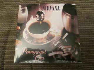 Nirvana Pennyroyal Tea / I Hate Myself And Want To Die 7 " Rsd Still