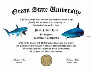 Diploma For A Shark Lover,  Great Conversation Piece And A Great Gift