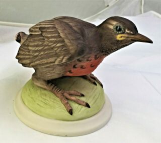 Sweet Boehm " Baby Robin " Figurine 442 Great Detail
