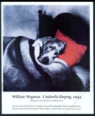 1995 William Wegman Weimaraner Photo Cinderella Sleeping Nyc Gallery Print Ad