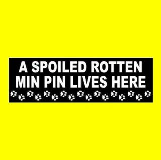 Funny " A Spoiled Rotten Min Pin Lives Here " Miniature Pinscher Sticker Sign Dog