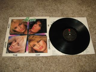 Poison Look What The Cat Dragged In Lp 1986,  Poster Lyric Sleeve Glam