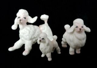 3 Vintage Mid - Century Porcelain Poodle Family Figurines Pink & White Standard