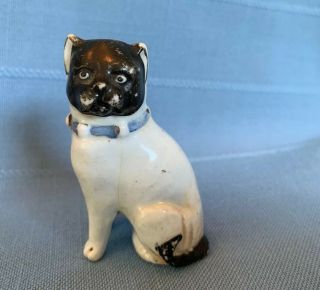 Antique Pug Dog Staffordshire Figurine Blue Collar 2.  5 " Tall No Chips