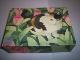 Leslie Baker Feline Seasons Box Of 20 Blank Cat Note Cards 5 Each Of 4 Subjects