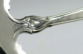 Rare Antique Art Nouveau Sterling Silver Whiting Floral Twist Bon Bon Spoon 4