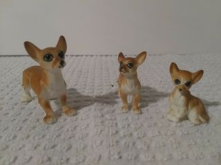 Vintage Set Of 3 Miniature Bone China Chihuahua Dog Figurines