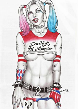Dc Comics Harley Quinn Print Batman Joker Catwoman Poison Ivy Gotham Suicide 2