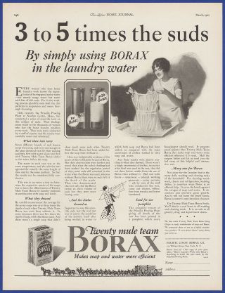 Vintage 1927 20 Mule Team Borax Soap Detergent Laundry Art Decor 20 