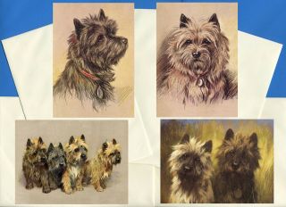 Cairn Terrier Pack Of 4 Vintage Style Dog Print Greetings Note Cards 3