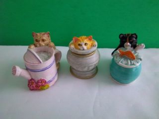 Lenox Kitten Thimbles - Tortoiseshell,  Brown Tiger,  Ginger & White - In - Box
