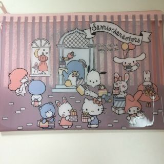 Sanrio Characters Zipper Bag Flat Pouch Hello Kitty My Melody Kawaii From Japan