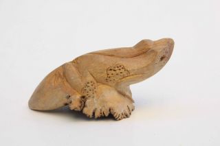 Chinaberry Tree - Parasitic Wood Statue - Frog Wooden Root -