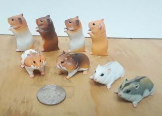 Hamster Dance 8 Kaiyodo Chocoegg Chocoq Hamster Figures.  Cute & Detailed