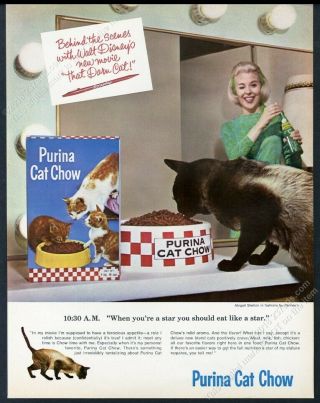 1965 That Darn Cat Movie Siamese Cat Photo Purina Cat Chow Vintage Print Ad