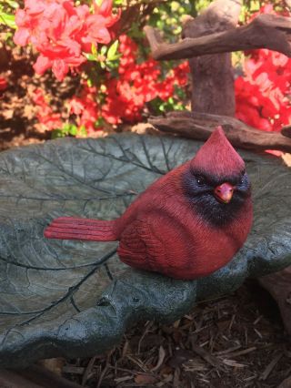Resin Cardinal Red Bird Figure Garden Christmas Home Decor 3 Inches Pose 4