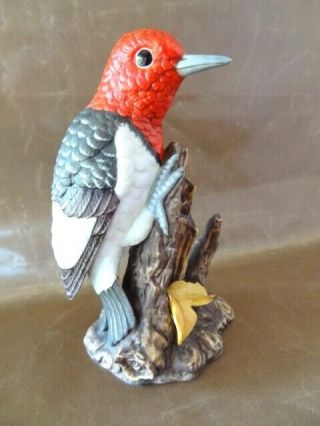John James Audobon Porcelain Bird - 1986 " Red - Headed Woodpecker " Signed