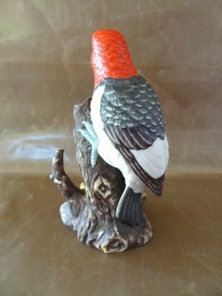 John James Audobon Porcelain Bird - 1986 