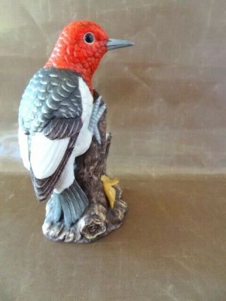 John James Audobon Porcelain Bird - 1986 