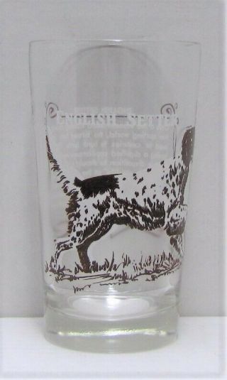 English Setter Dog 5 " Tall Drinking Glass