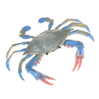 Pvc Blue Crab Realistic Sea Animal Model Solid Figure Ocean Kids Toy Gift Rs