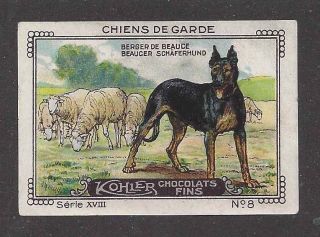 1931 France Nestle Cailler Kohler Dog Card Berger De Beauce Beauceron