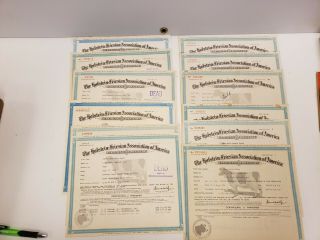 The Holstein - Friesian Association Certificate Of Registry 11 Total