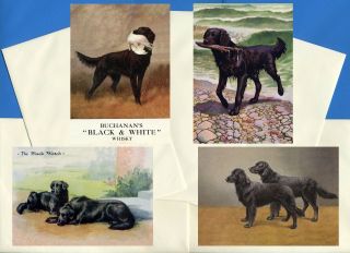 Flat Coated Retriever Pack Of 4 Vintage Style Dog Print Greetings Note Cards 2