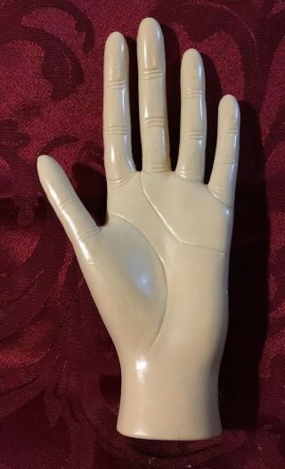 Vtg LEFT HAND MODEL Perfect Display For Sales At Shows Or Online 8x4” 2