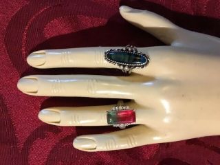 Vtg LEFT HAND MODEL Perfect Display For Sales At Shows Or Online 8x4” 3
