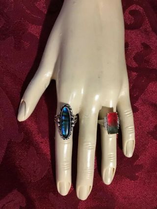 Vtg LEFT HAND MODEL Perfect Display For Sales At Shows Or Online 8x4” 5