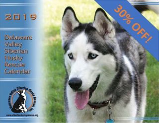 2019 Delaware Valley Siberian Husky Rescue Calendar Discounted 30 Last Chance