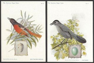 India 1898 - 1900 Singer Sewing Machines Advertisement Cards With Hindi Text Birds
