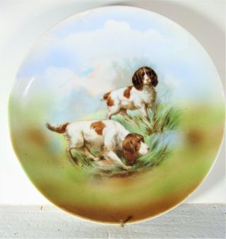 Springer Spaniel Hunting Dogs German Porcelain Plate